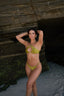 Carolina Bottom Jade